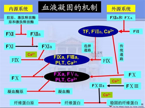 宝鸡第三医院-一份凝血报告引发的深思